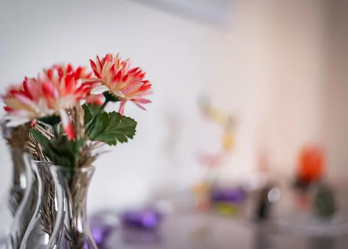 Citycosy-strasbourg - Chic Oberlin Contades