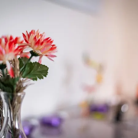 Citycosy-strasbourg - Chic Oberlin Contades